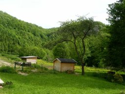 NC06 - Le Jura, c&#039;est vert. Faut dire que c&#039;est bien arrosé