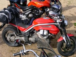 NC08 - Une des 8 Guzzi