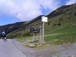 NK05