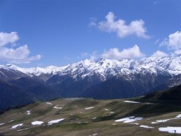 NK05