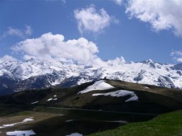 NK05
