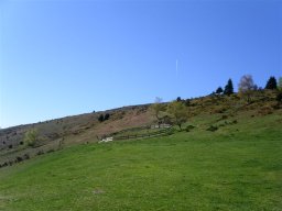 NK05