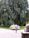 AT04S1 128.jpg (1132416 octets)