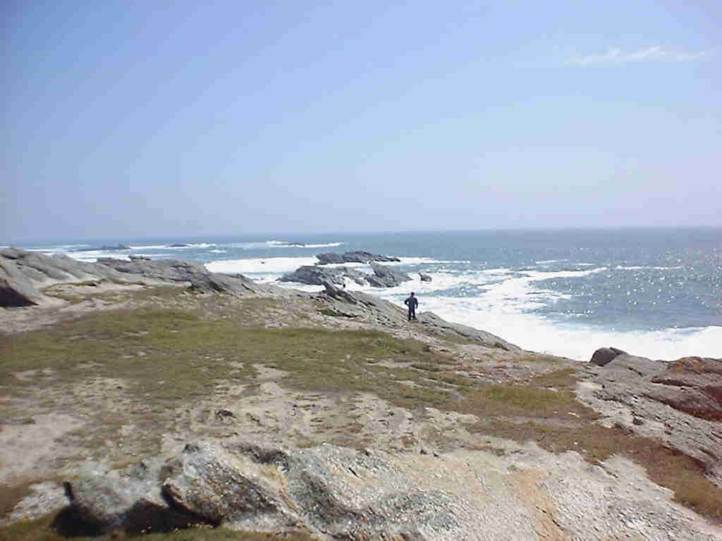 Quiberon - côte sauvage